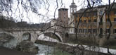 Rome Marathon 2005