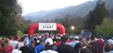 Big Sur 2009